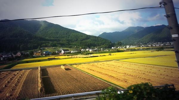 いいところだなぁ…
電車の中から見える景色
９月の最後は東京で仕事