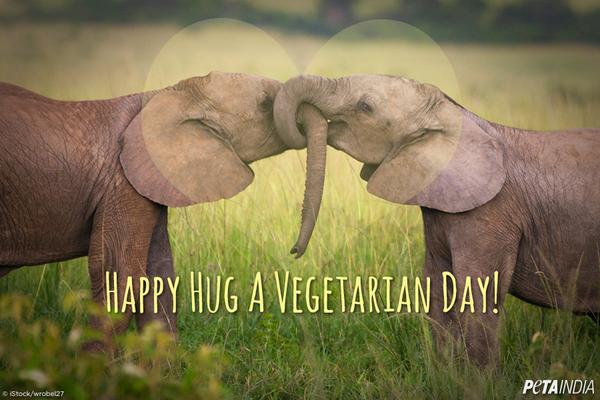 Vegebutcher's tweet photo. “@PetaIndia: Are you a vegetarian? Do you know a vegetarian? Spread the HUGS & love! #HAVD #PETAYouth http://t.co/dQYQgsok4C”