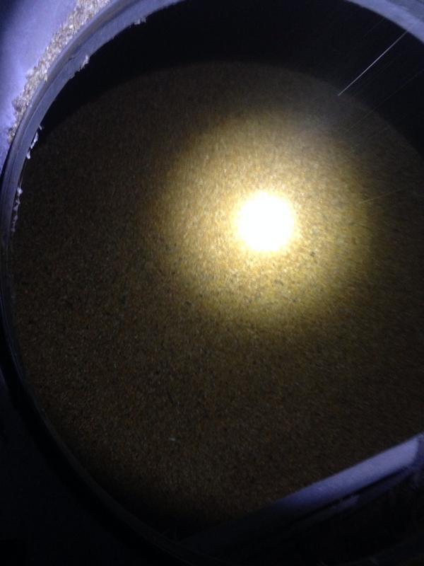 Farmnvol's tweet photo. Tryin to top off a corn bin tonight! Don't need any #groundcorn that's a lot worse than #cabcorn http://t.co/Q5psL3EN0r