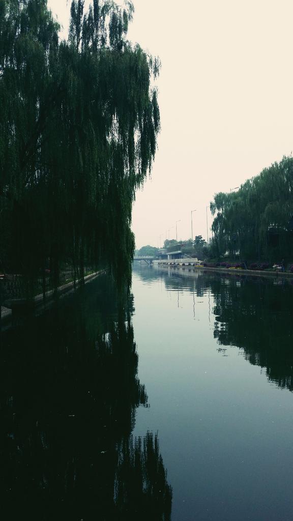 suibingyuegmail's tweet photo. What a beautiful day it is ! http://t.co/wgs3bW83ia