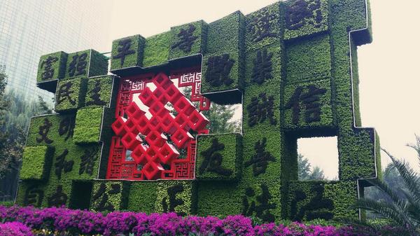 suibingyuegmail's tweet photo. What a beautiful day it is ! http://t.co/wgs3bW83ia