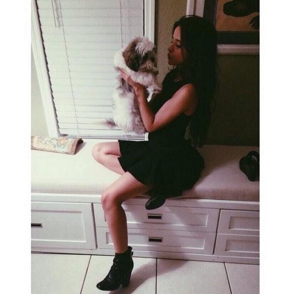 🐶💕