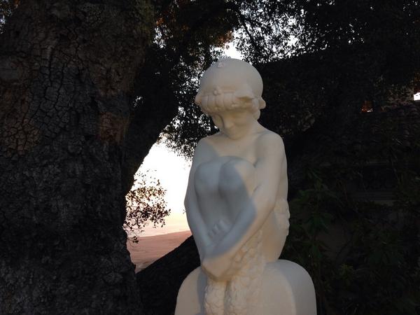 Ready to host a @SavorCC party. But my ADD has me focused on this half  boy half sheep statue of mine #SunsetSavor