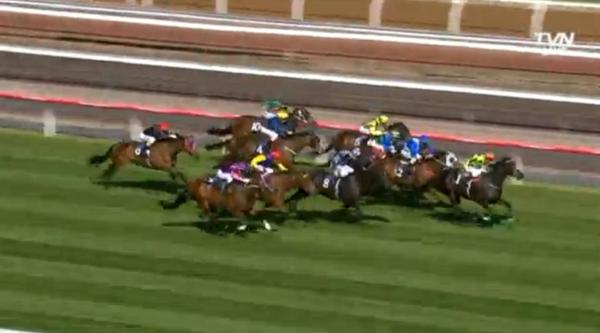 Racing's tweet photo. Commanding Jewel the Top Cut Foods Stocks Stakes favourite for tonight. WATCH her last start: http://t.co/QouX5Gebnl http://t.co/6kDIgY7pTU