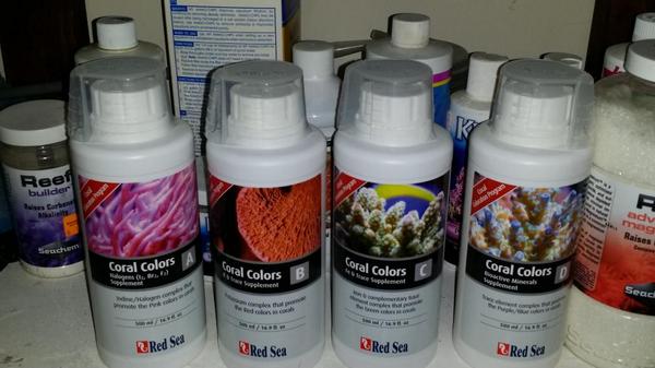 WSA_ReefZone's tweet photo. Started dosing Red Sea reef colors today, will keep you guys informed on the progress! http://t.co/R2ClLP7K8m
