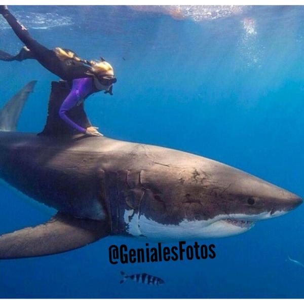 OraYReflexiona's tweet photo. ¿Te gustan las buenas fotos de animales y paisajes? Entonces síguenos y da RT a este tweet. 😋 http://t.co/PS4ZKfA1Ju