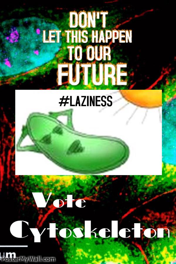Cytoskeleton72's tweet photo. Don't vote chloroplasts, vote cytoskeleton! #amazingposter #cytoskeleton2k14 #murphpak http://t.co/bDcCnCXmOv