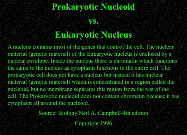 RadicalRibosome's tweet photo. @yaboinucleus @NerdyNucleolus @murphyapbio http://t.co/VTWgpeuIEG