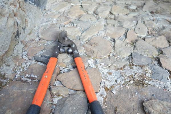 Ch24vineyards's tweet photo. Quest for balance in the cellar. #dayinthelife #harvest2014 #chapter24vineyards #PinotNoir http://t.co/aQlBYDrKrV