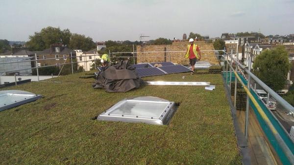 Laying of the #greenroofs in #Camden, for a greener #London. Please RT