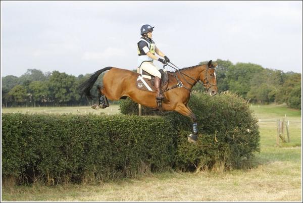 laladurks01's tweet image. Putting the lovely @VoltaireDesign through it's paces! #happypony #happyjockey Livvy felt mega in it! @LMEQ1