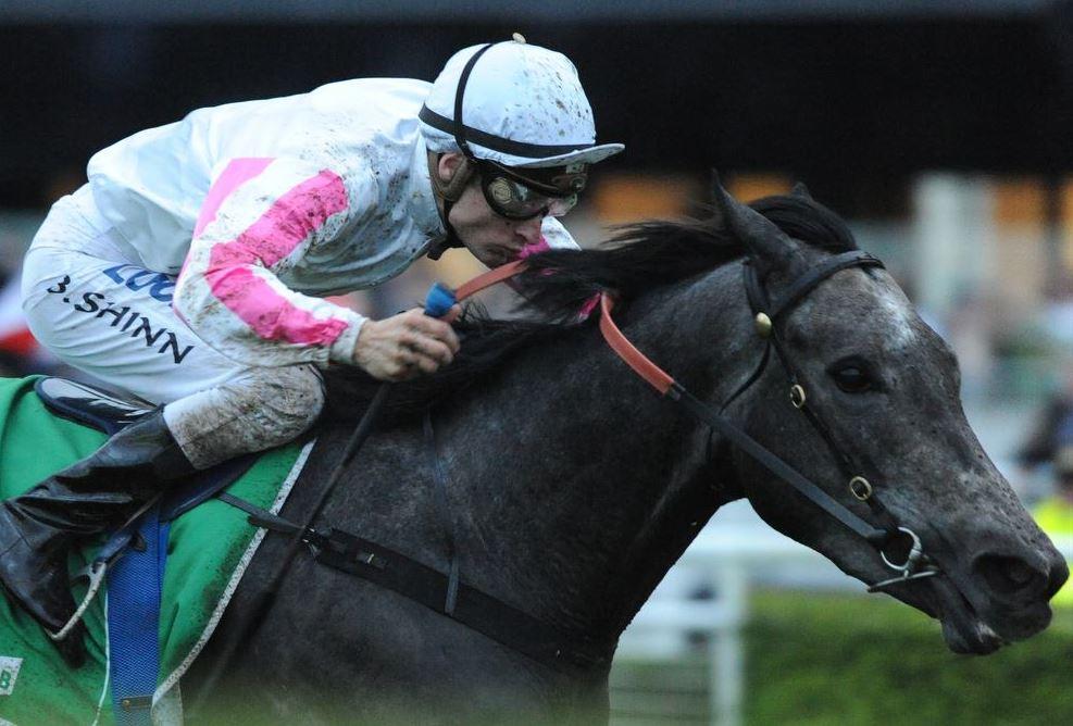 Happy Birthday Hell be hoping Arabian Gold can give him a bday win in G3 Golden Pendant 