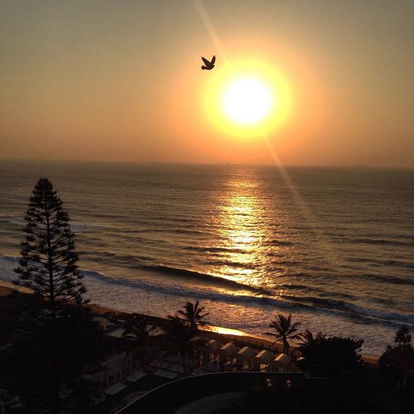 Raeesa_Paruk's tweet photo. @5StarDurban Umhlanga beach sunrise #5stardurban #ibelieveicanfly http://t.co/bckUprk7gP