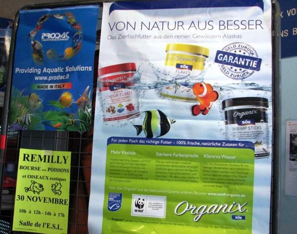 soelltec's tweet image. Auf einer Fischbörse des AACC in Lothringen kam unser #Organix #Fischfutter gut an. :-) #Chaligny #Aquaristik #Söll
