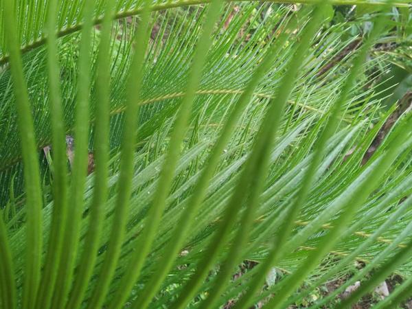 aptmedi tweet picture