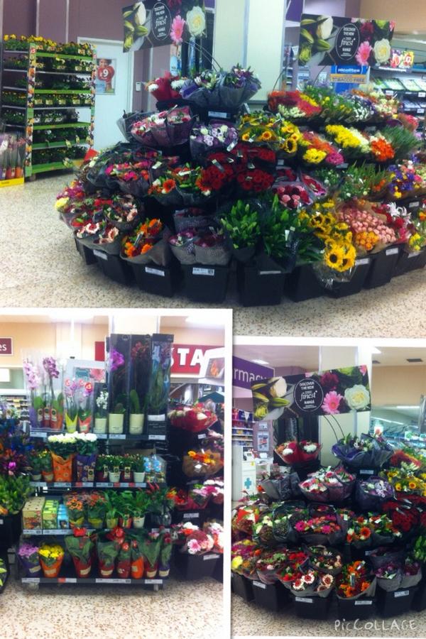 Horticulture range change looks amazing!! Positive LFL <a href="/4thkate/">Kate Forth</a> @Llittle25 <a href="/ThomasRichard14/">Thomas Richardson</a> <a href="/garrymoorhouse/">Garry Moorhouse</a>