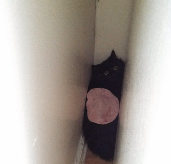 lol Je vois pas l'intérêt ;) RT <a href="/minutebuzz/">MinuteBuzz</a>: Non, sérieux, expliquez cette photo