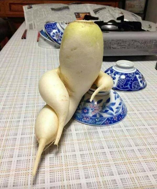 PLEOrb's tweet image. Welcome to our HAPPY FRIDAY! .#pleo #innvolabs #dinosaurs #robotics #pets