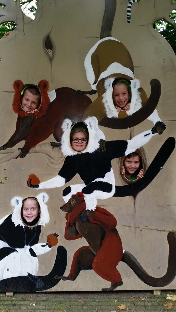 ayundo8's tweet image. Met groep 1 tm 7 in  artis, gezellig en leerzaam.