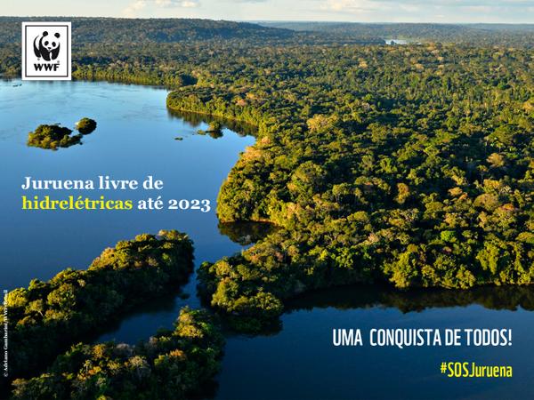 wwfbrasil tweet picture