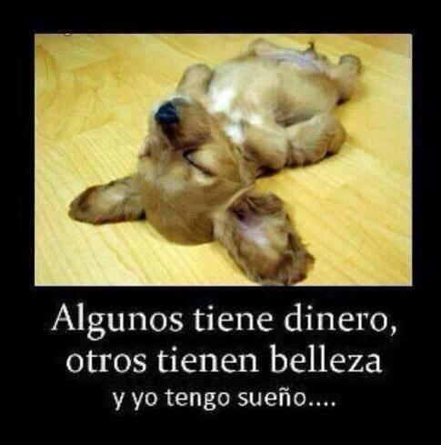 AgusCASFA_'s tweet photo. Jjjajajjaja Posta! http://t.co/xbWbsVRQkq