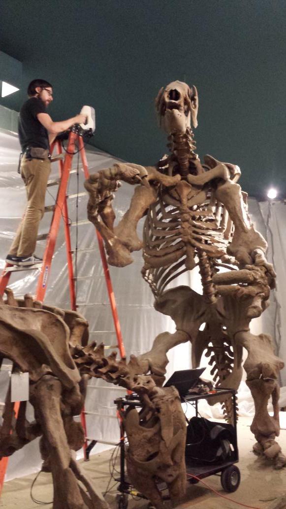 Smithsonian 3D tweet media