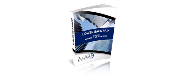ZudiGo's tweet photo. http://t.co/s6DIzHdJfU - who has seen our lower back pain solution flipbook? #health #Wales http://t.co/GuH0zemZF1