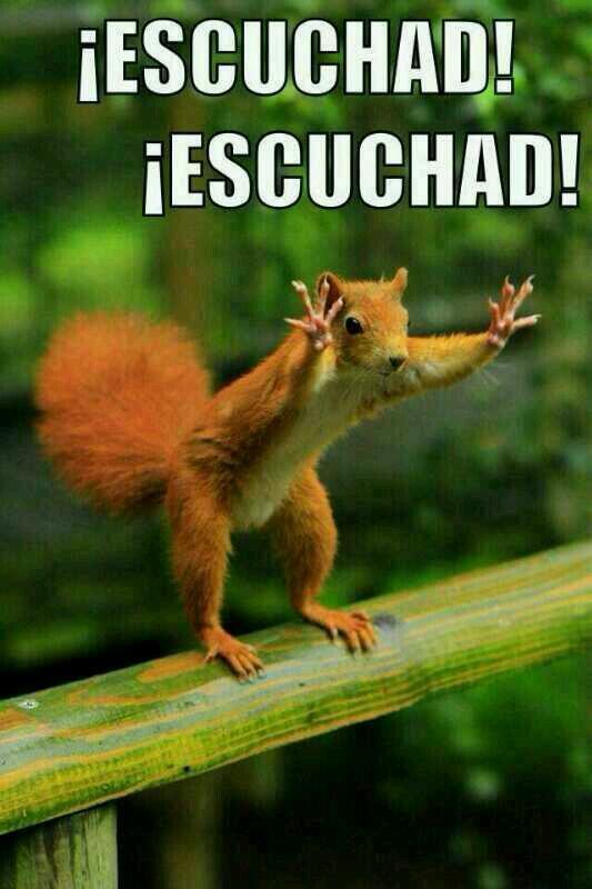 CuriosoTwit's tweet photo. Este eres tú cuando escuchas tu canción favorita. http://t.co/Qqp4tlUAIo