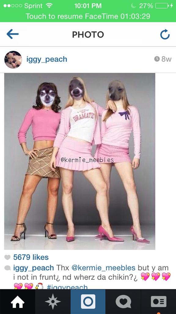 iggyslayqueen's tweet photo. @JennaMarbles 😂😂😂 http://t.co/5w9oQuyZA0