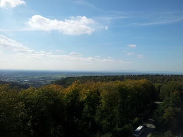 view appalachians all east tennesseans and the elusive history of an