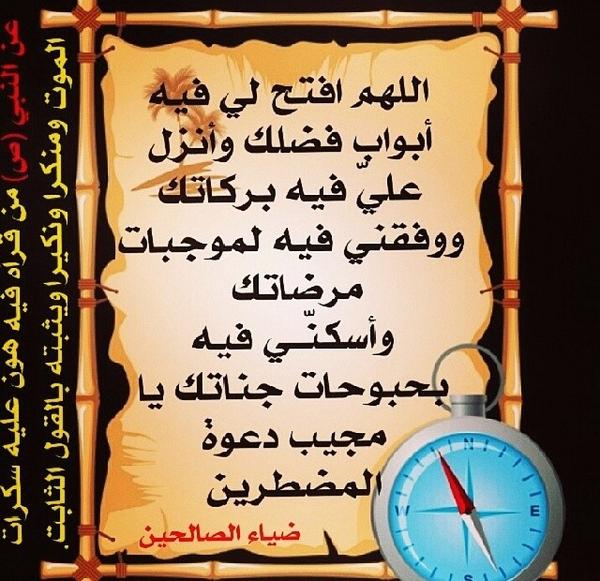 خادمة الحسين (@131fpi) on Twitter photo 