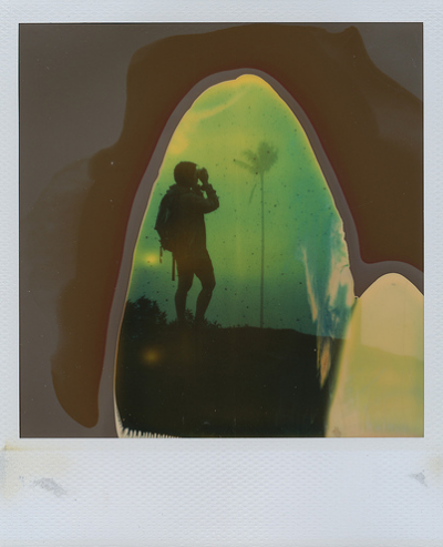 PolaroidWeek tweet picture