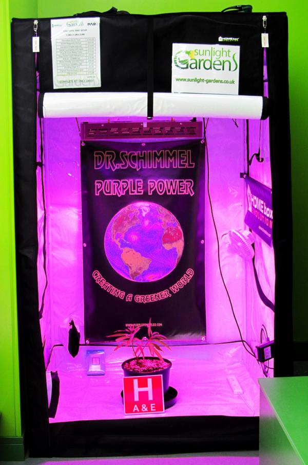SunlightN18's tweet photo. #grow_tent #dr_schimmel #led_grow #purple_power Dr Schimmel purple puwer LED tent setup in store! http://t.co/FkrwM9vJlN