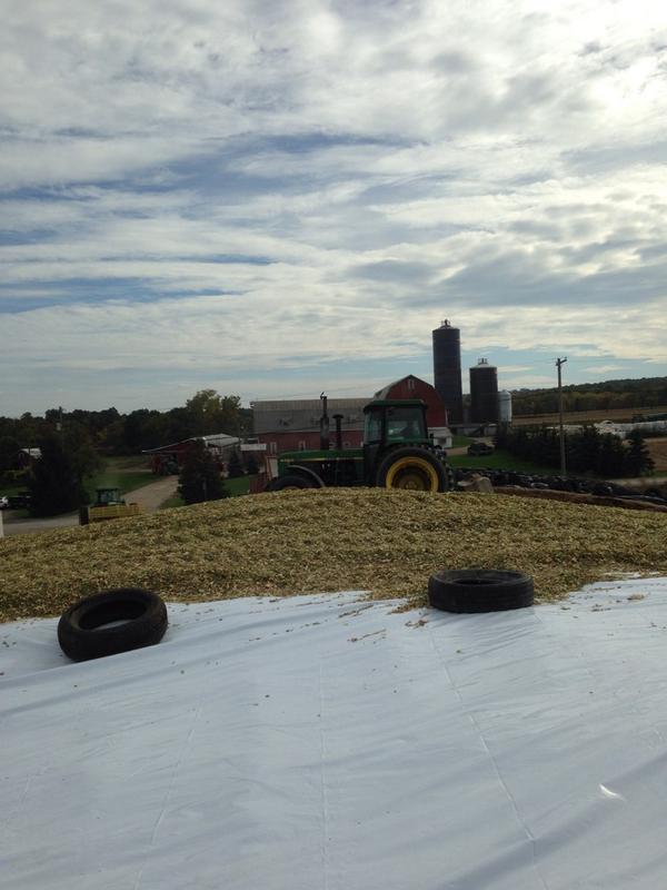 sAth_Gillie's tweet photo. Thanks for makin me country farm strong yesterday 😂😂😂🐶👳💪👊 @Matt_Wyckoff 🐑🐥🐣🐔🐤🐴🐗🐮🐶🐄🐏🐓🐐🐾🌾🍃🍁🌻🌼☀️ #feedbunk🌰 http://t.co/LPYEvhbSwx