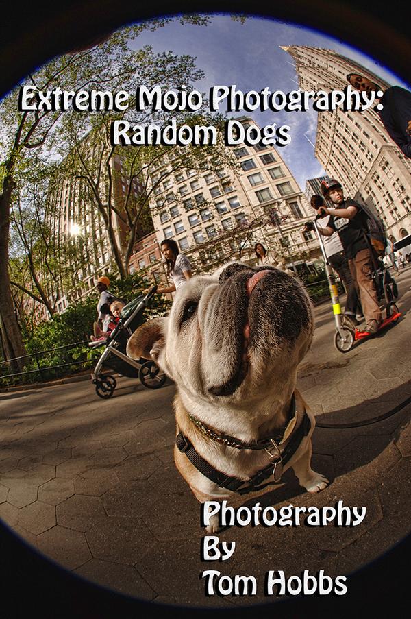 extrememojo's tweet image. #photography #kindleunlimited I Was bitten twice for this project.  ow.ly/BZsByL