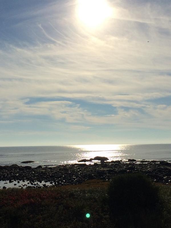 millercait's tweet image. Good morning #beachlife #nofilter