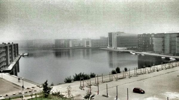 herrefedcom tweet picture