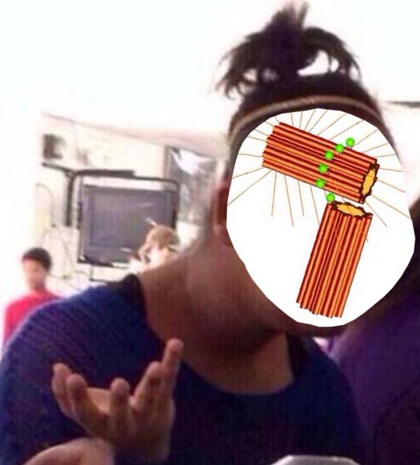team_centriole's tweet photo. when people constantly say centrioles have no function http://t.co/unJulScJRh