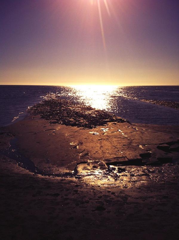 #dorset #Kimmeridge nearly the weekend! #electrician all electrical work ,free quote electrisafe31@gmail.com