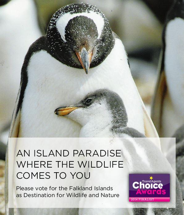 FITBTourism's tweet photo. The Falkland Islands – a place of beauty – Vote now!
http://t.co/c9rvnT1Jls
http://t.co/dOSDbDEXEJ http://t.co/G4OKmuDmK9