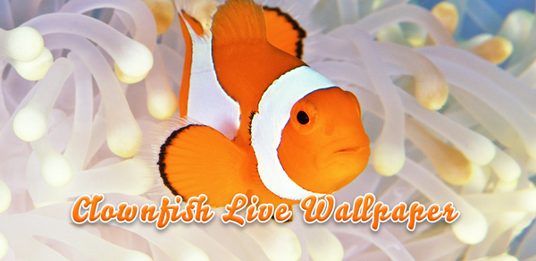 Android3DLWP's tweet photo. Wonderful #clownfish #livewallpaper! Enjoy beautiful #sealife on your screen!

https://t.co/gIkFdobdzK http://t.co/IbnOXph1BM