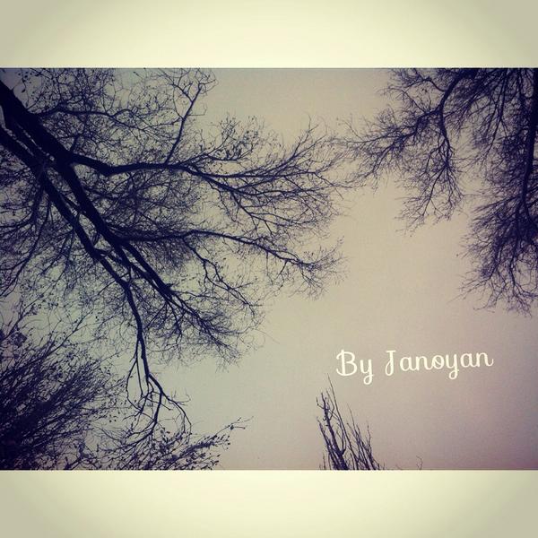 Like like likee #By #me #Nature #trees #cool #photography #winter #cold