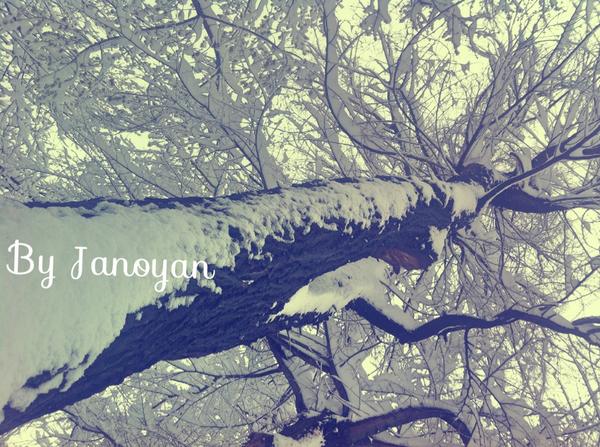 #winter #byJanoyan #Nice #snow #tree #white #that #cool