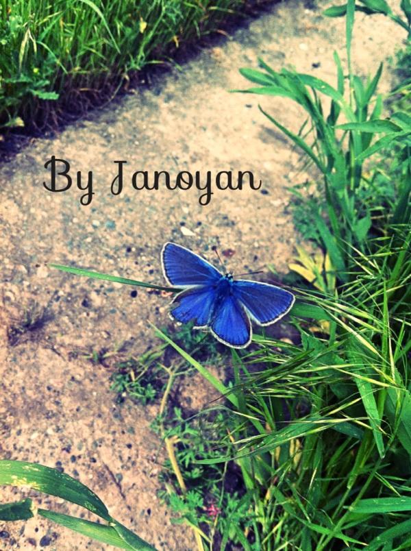 #By #me #blue #grass #at #garden #green #Butterfly
