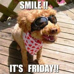 FSUHealthCenter's tweet image. Happy Friday!! Have a safe &amp;amp; great weekend FSU!!