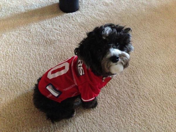 jimispooner's tweet photo. Go Niners! #K9ers http://t.co/AF48jFoyaM