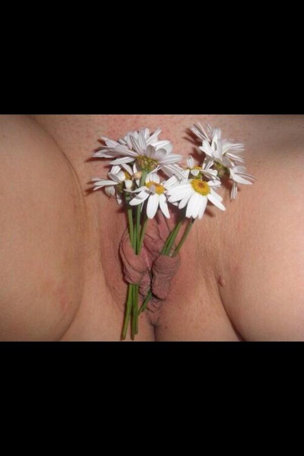 RealCDMI's tweet photo. J'aime tellement offrire des fleurs http://t.co/ScDtkjmreI