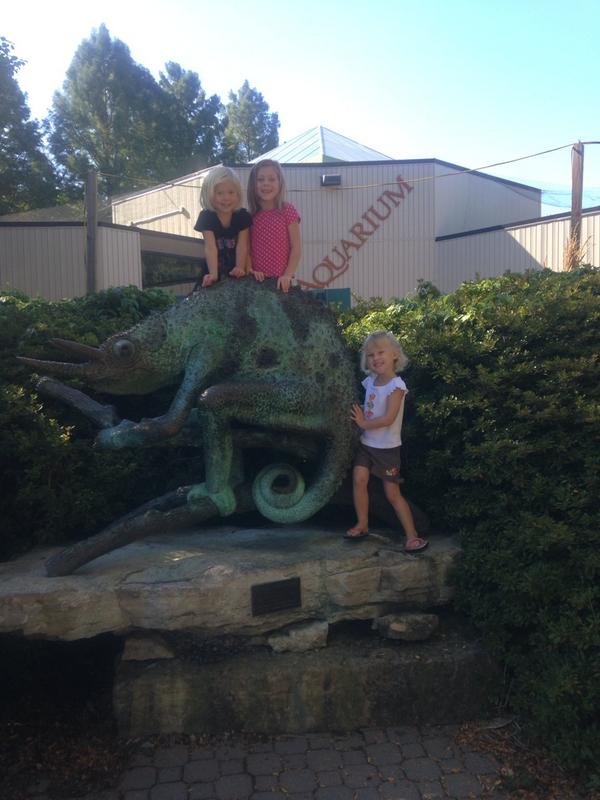 sallyjroth's tweet photo. Zoo http://t.co/9qhZmFrOjO