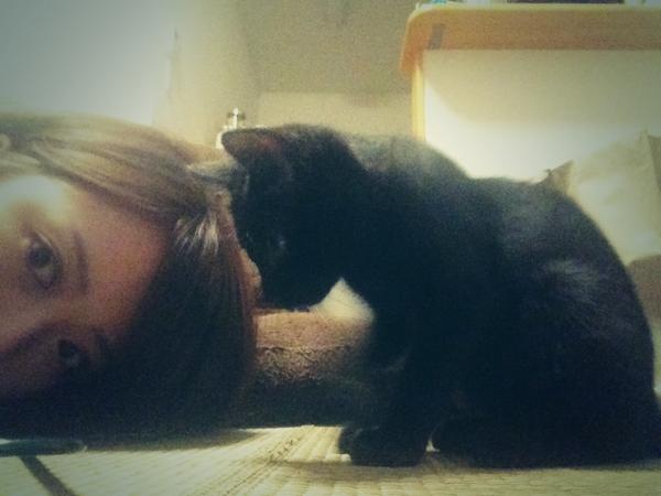 yayoooooon's tweet photo. ききちゃんホームステイ☆
疲れててもどんなに苛々してても、
ききちゃんの愛くるしさで、吹っ飛んでってしまう！何のために人生を送っているのか思い出させてくれる、リセットするような、、家族の時間を作ってくれます。本日もお疲れ様でした✨ http://t.co/7crnRkE3Gi