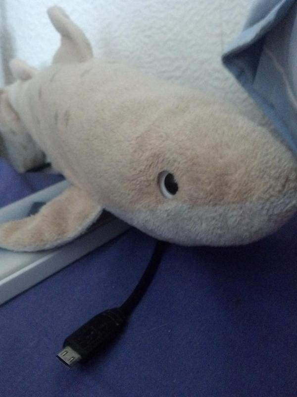 y_a_pl1_2_virus's tweet image. J'ai perdu ce requin en peluche cet aprem dans un train Strasbourg-Paris. SVP RT pour le retrouver.